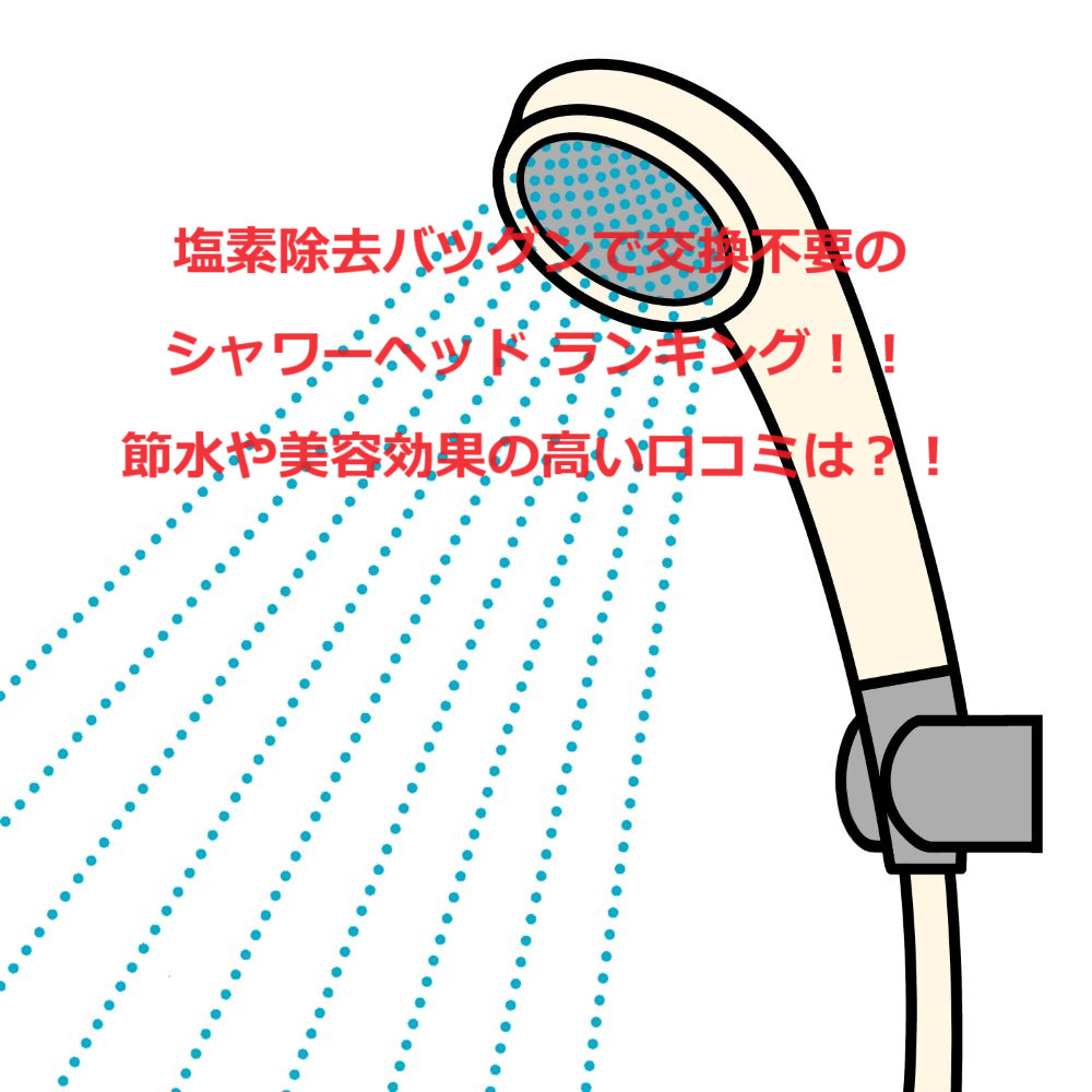 シャワーヘッド塩素除去できて交換不要なもの