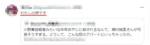 segawayuina-imouto-